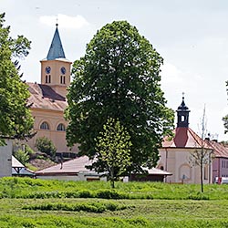 Obrázek