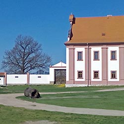 Obrázek